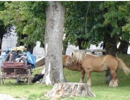 paard en wagen huren in de morvan
